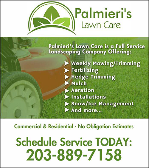 palmieri's services